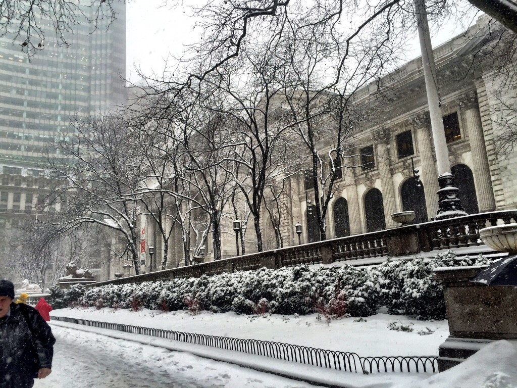 New York Schnee